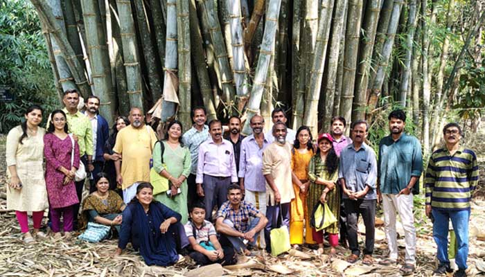 Bamboo Propagation and Processing Training Conducted at KFRI